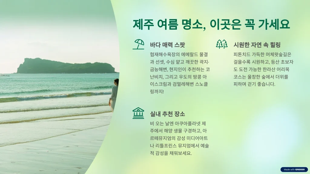 8월 제주 여행