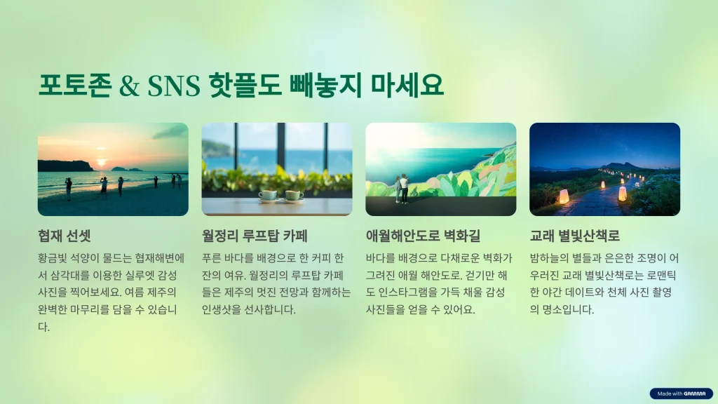 8월 제주 여행